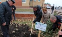 Аллею Славы в честь 70-летия победы в Великой Отечественной войне высадили в Белоомуте