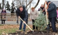 Аллею Славы в честь 70-летия победы в Великой Отечественной войне высадили в Белоомуте