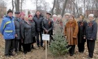 Аллею Славы в честь 70-летия победы в Великой Отечественной войне высадили в Белоомуте