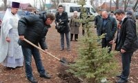 Аллею Славы в честь 70-летия победы в Великой Отечественной войне высадили в Белоомуте